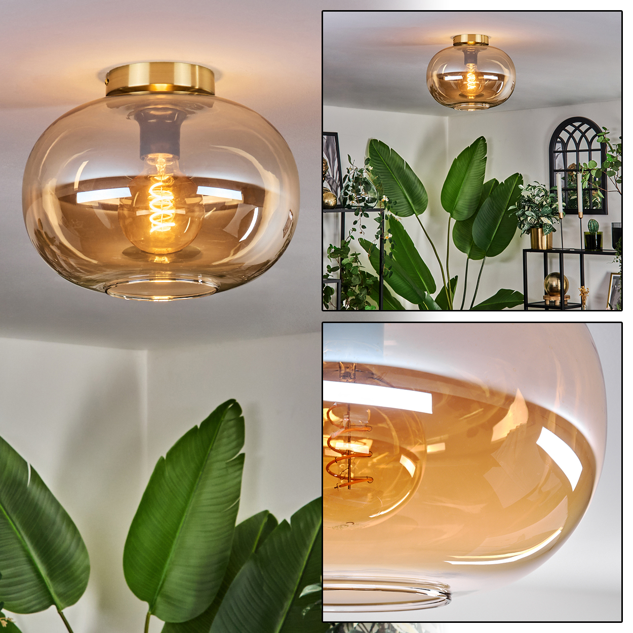 Nahaufnahme einer Deckenlampe mit Glasschirm und warmer Glühbirne. Grüne Pflanzen und Regale sind im Hintergrund.
