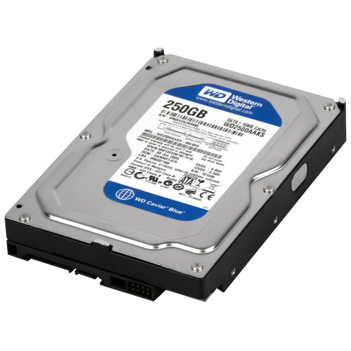 Un disco rigido Western Digital, etichettato 250GB, con involucro blu e argento. Il testo include i dettagli del prodotto.