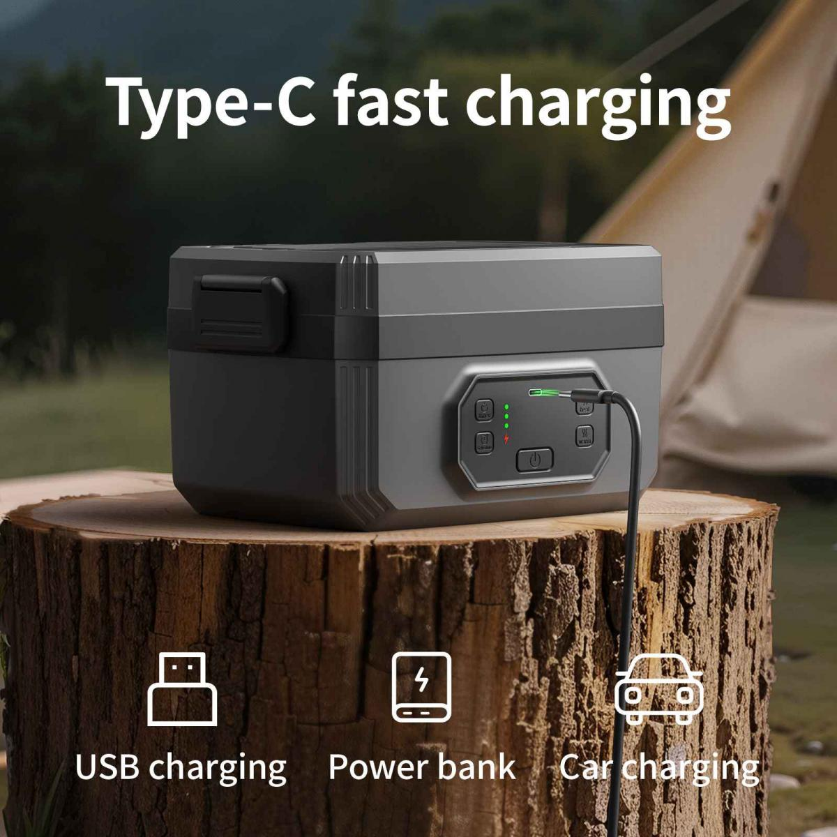 Eine graue Powerbank mit Typ-C-Schnellladung steht auf einem Baumstumpf. Symbole zeigen USB-, Auto- und Powerbank-Aufladung an.