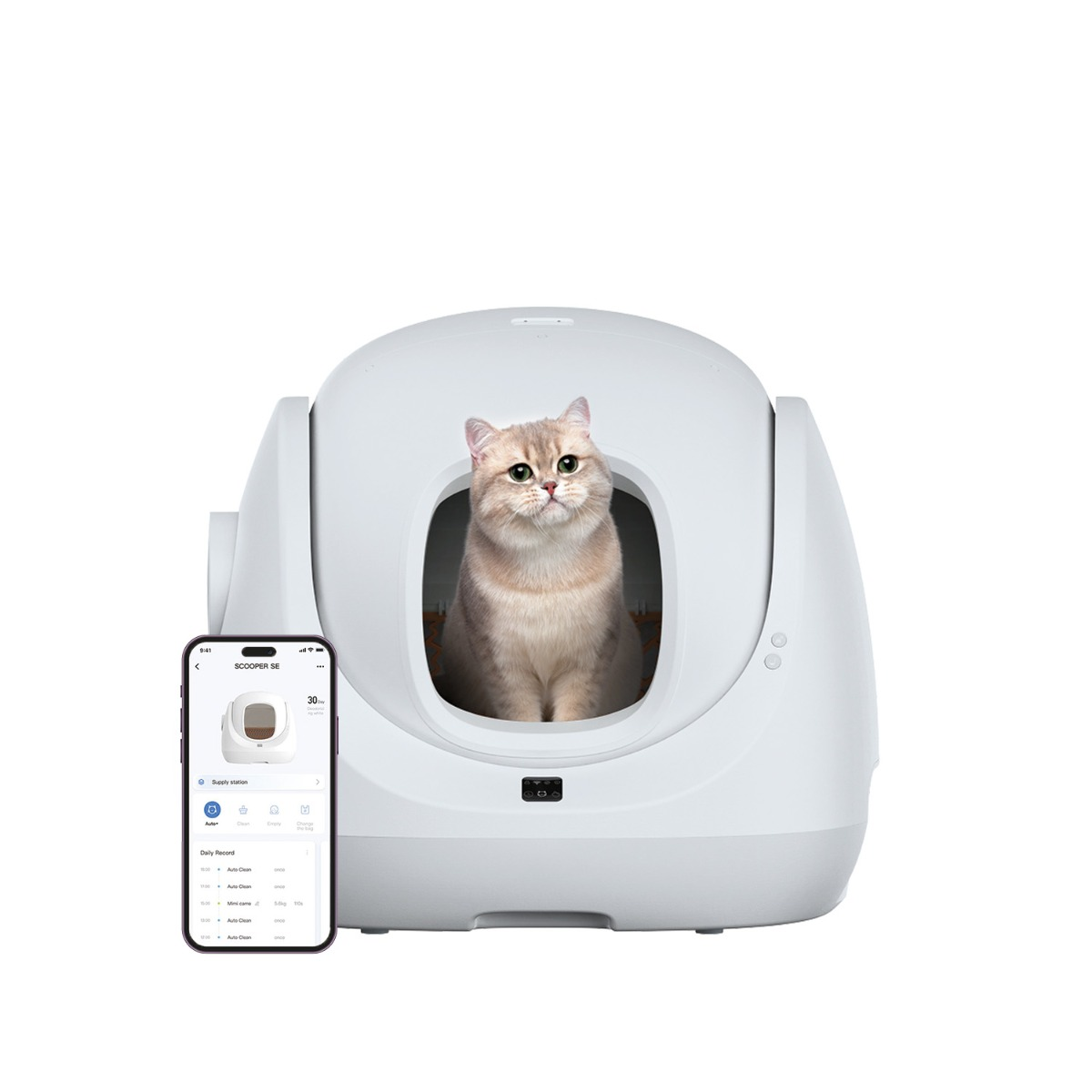 Een kat zit in een witte, automatische kattenbak. Een telefoon toont de interface van de app. De kat is lichtbruin.