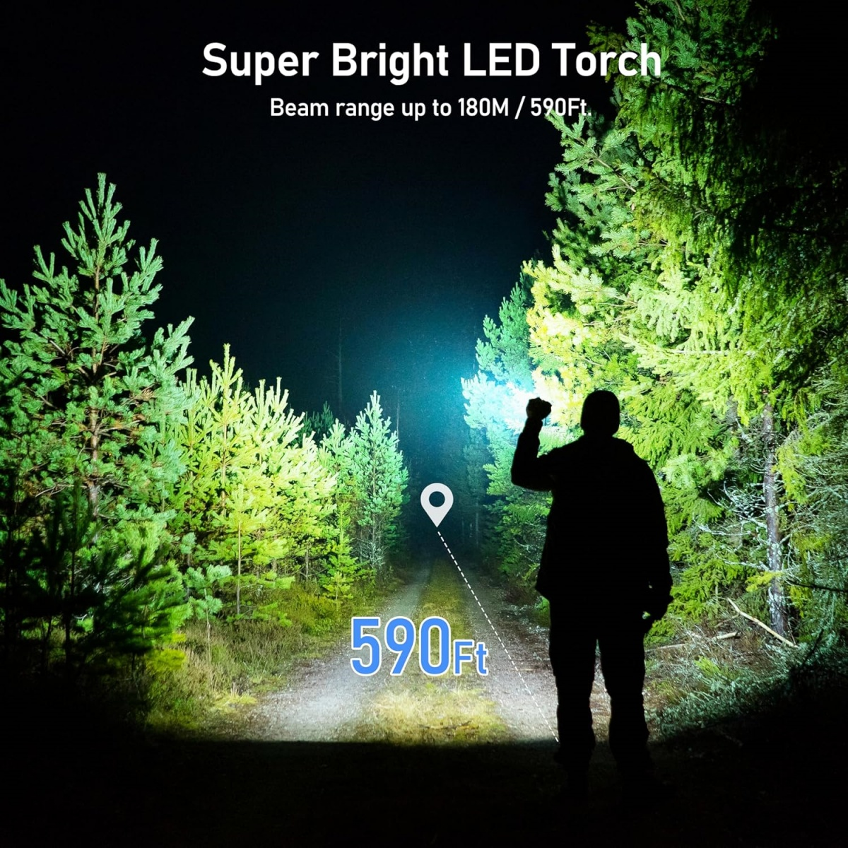 Eine Silhouette hält nachts im Wald eine helle Taschenlampe. Der Strahl beleuchtet einen Weg. Bäume säumen die Seiten.