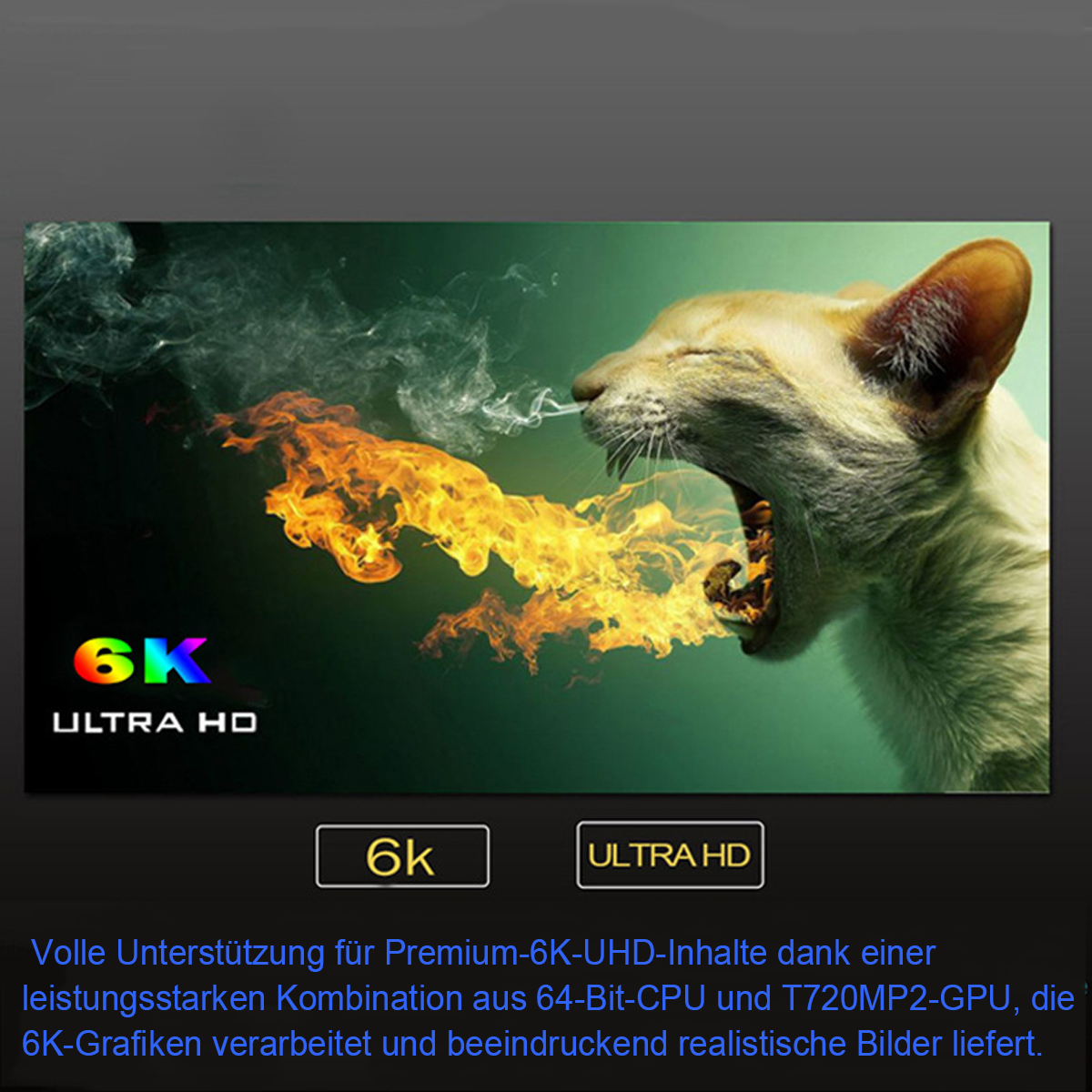 Eine Katze mit Feuer und Rauch, die aus ihrem Maul kommt. Der Text zeigt 6K Ultra HD Unterstützung an.