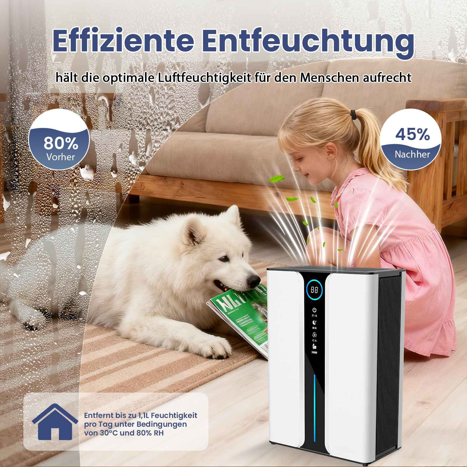 Ein Mädchen und ein weißer Hund stehen in der Nähe eines Luftentfeuchters. Das Bild zeigt die Luftfeuchtigkeit davor und danach.