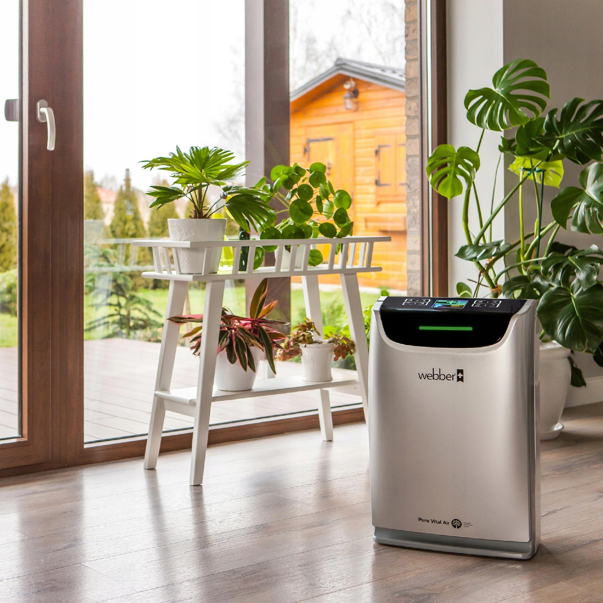 Oczyszczacz powietrza obok białego stojaka na rośliny z roślinami. Przez okno widać drewnianą szopę.