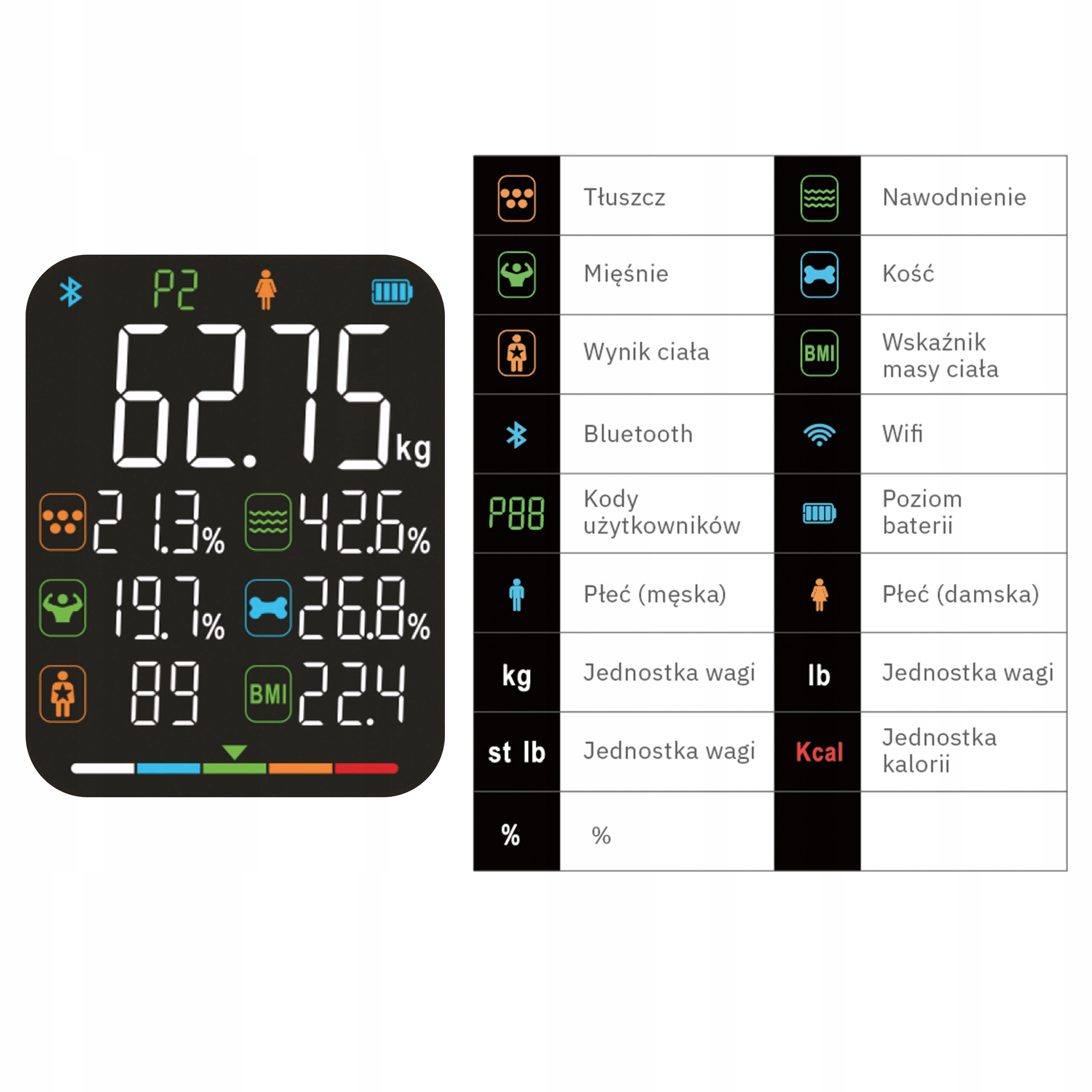 Waga cyfrowa pokazująca wagę i skład ciała. Zawiera procenty tłuszczu, mięśni i wody.