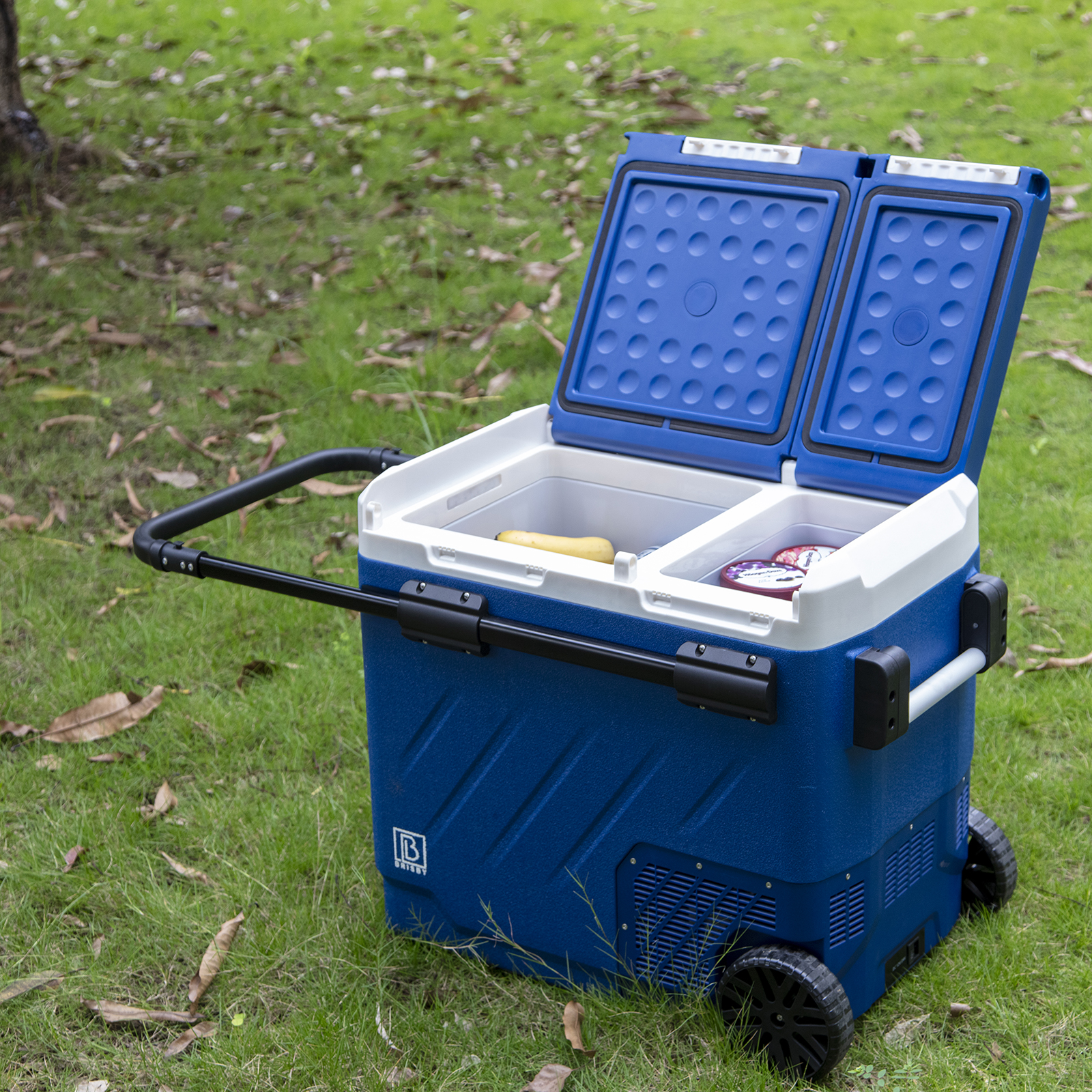 Een blauwe koeler met witte bovenkant is open op gras. Het heeft wielen en een handvat. Binnenin liggen etenswaren.