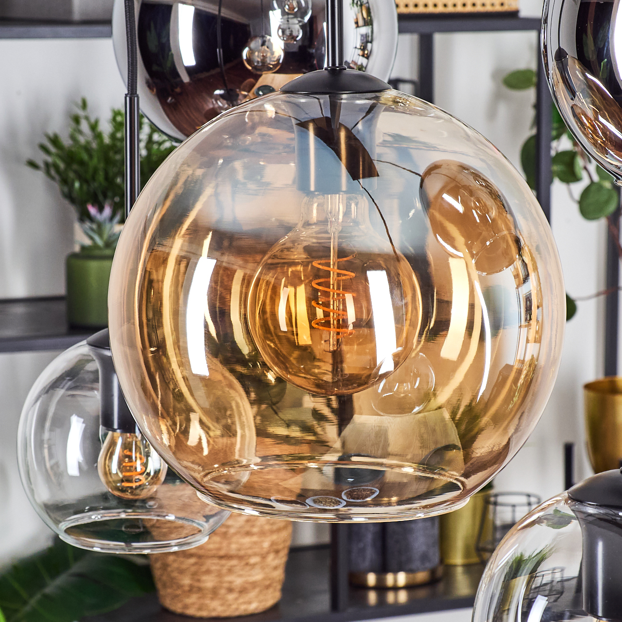 Nahaufnahme moderner Glas-Pendelleuchten. Glühbirnen in bernsteinfarbenen und klaren Kugeln. Hintergrund: Pflanzen, Regale und Dekorationen.