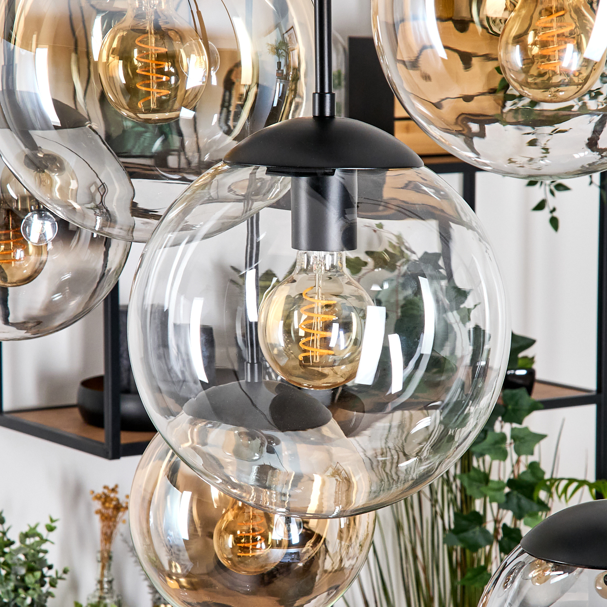 Nahaufnahme einer modernen Deckenlampe mit mehreren Glaskugeln und Edison-Glühbirnen. Grüne Pflanzen im Hintergrund.