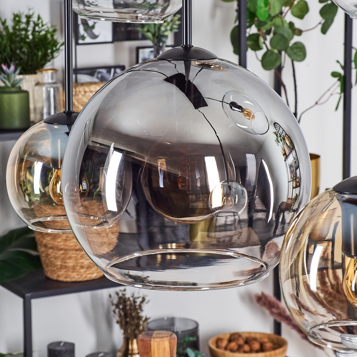 Nahaufnahme von Glas-Pendelleuchten. Klare und rauchfarbene Glaskugeln hängen mit sichtbaren Glühbirnen und reflektieren die Umgebung.