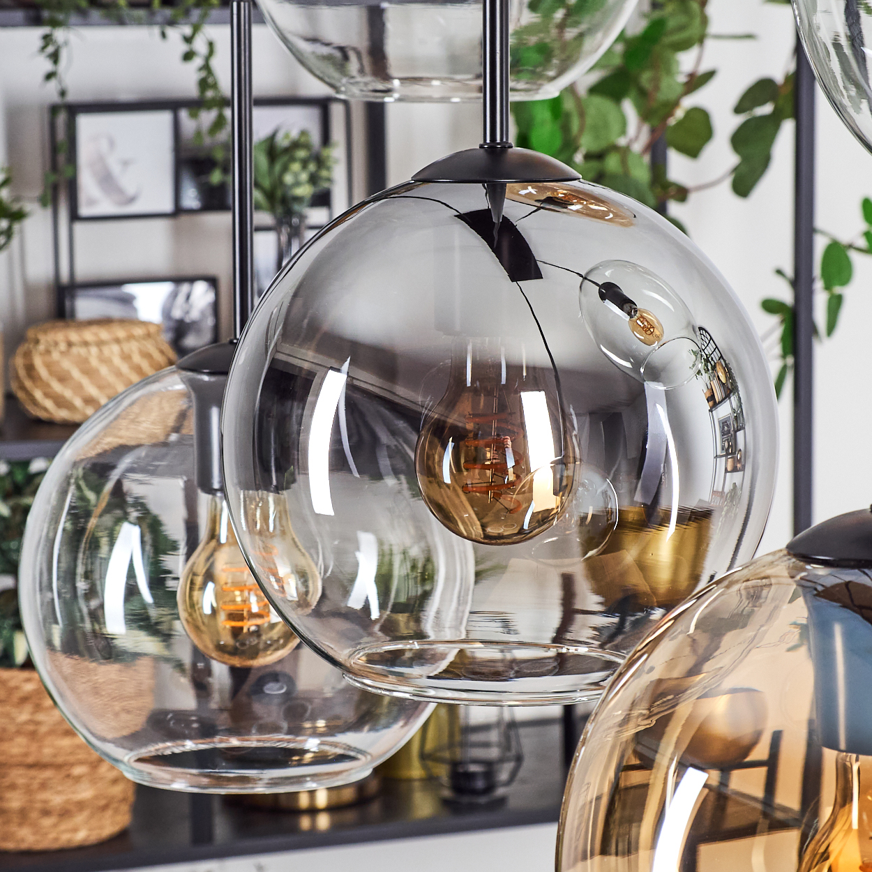 Nahaufnahme von Glas-Pendelleuchten mit freiliegenden Glühbirnen. Der Hintergrund umfasst Regale mit Dekoration und Grün.