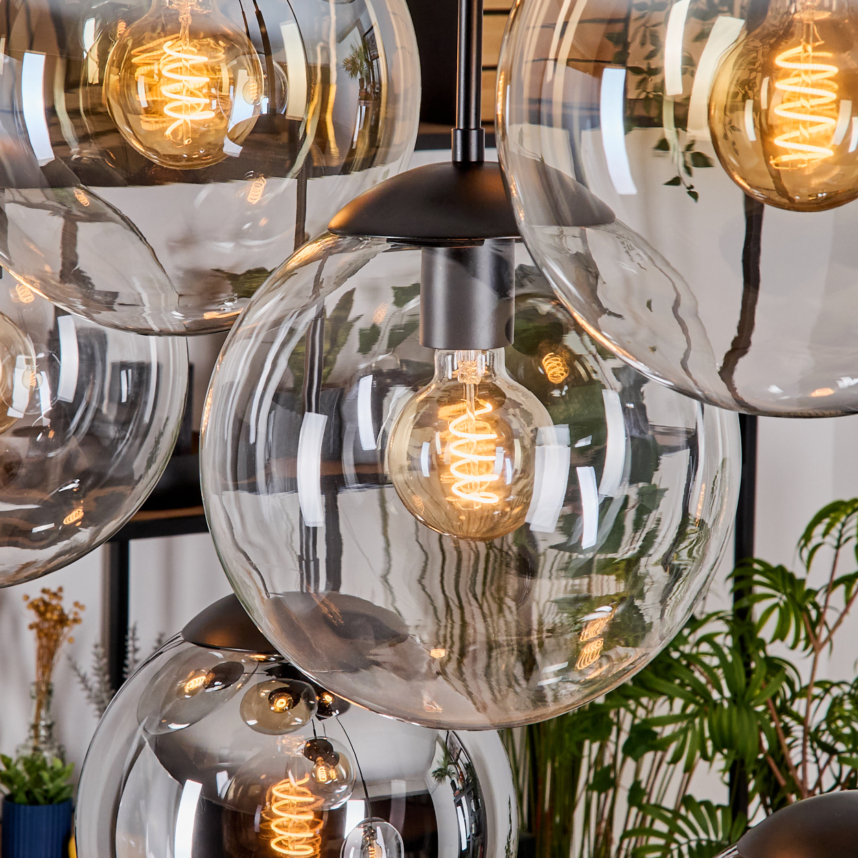 Nahaufnahme eines modernen Kronleuchters mit mehreren Glaskugeln und warm leuchtenden Edison-Glühbirnen. Grüne Pflanzen im Hintergrund.