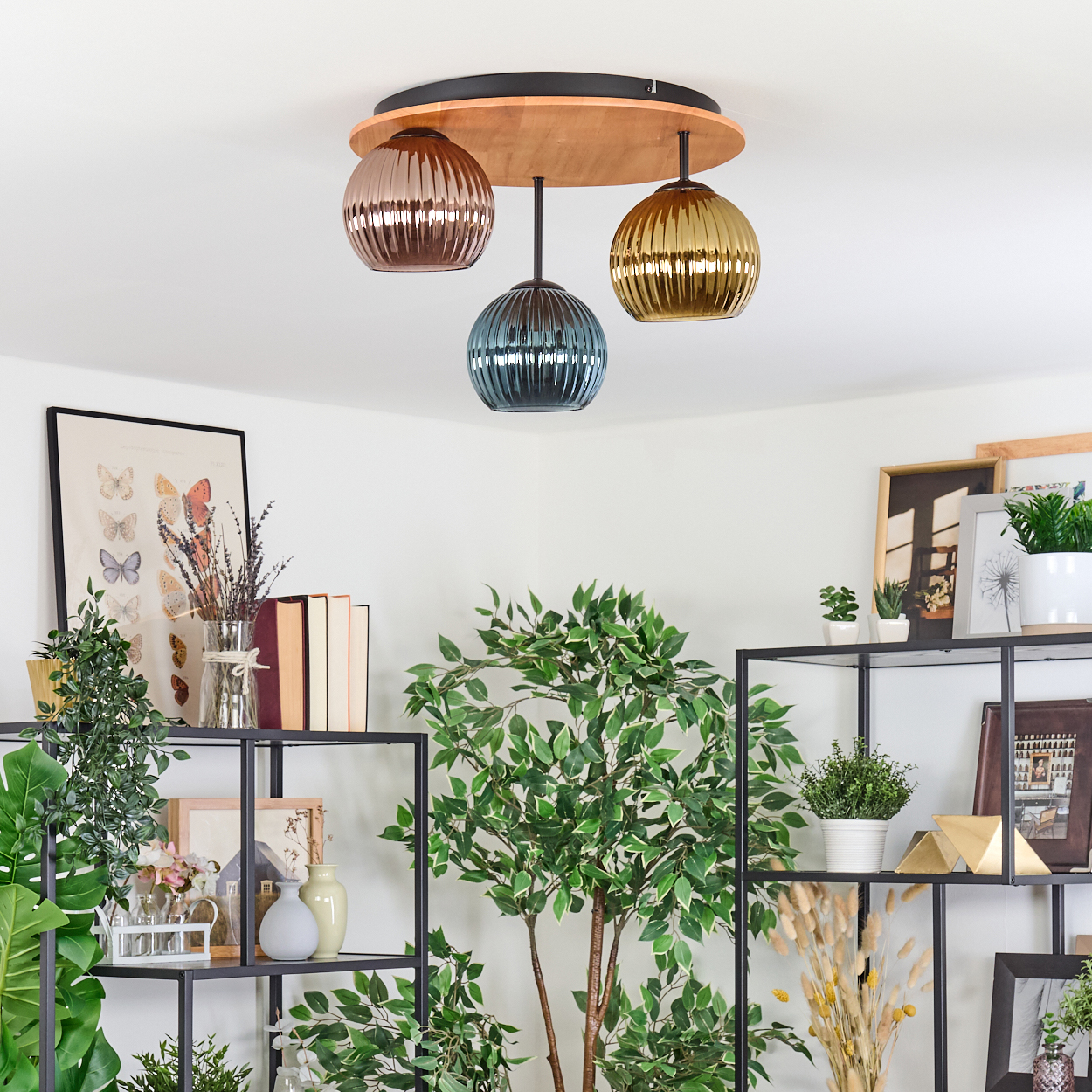 Eine moderne Deckenleuchte mit drei Glaskugeln hängt über einem Regal mit Pflanzen und Büchern. Ein Schmetterlingsdruck ist sichtbar.