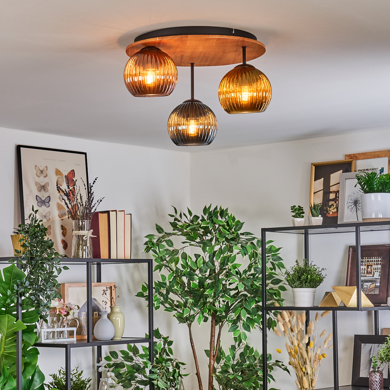 Ein Raum mit Deckenleuchte. Regale mit Pflanzen, Büchern und gerahmten Bildern. Ein großer, belaubter Baum steht in der Mitte.