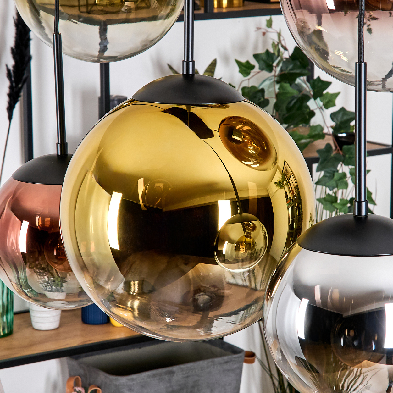 Nahaufnahme von modernen Pendelleuchten mit Glaskugeln in Gold, Kupfer und Silber, aufgehängt an schwarzen Stäben. Hintergrund mit Regalen und Pflanzen.