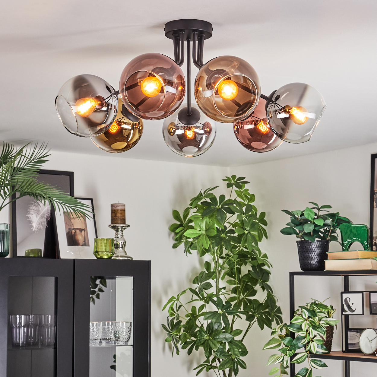 Eine moderne Deckenleuchte mit sechs kugelförmigen Glasschirmen. Darunter ein Raum mit Pflanzen, einem schwarzen Schrank und einem Regal.