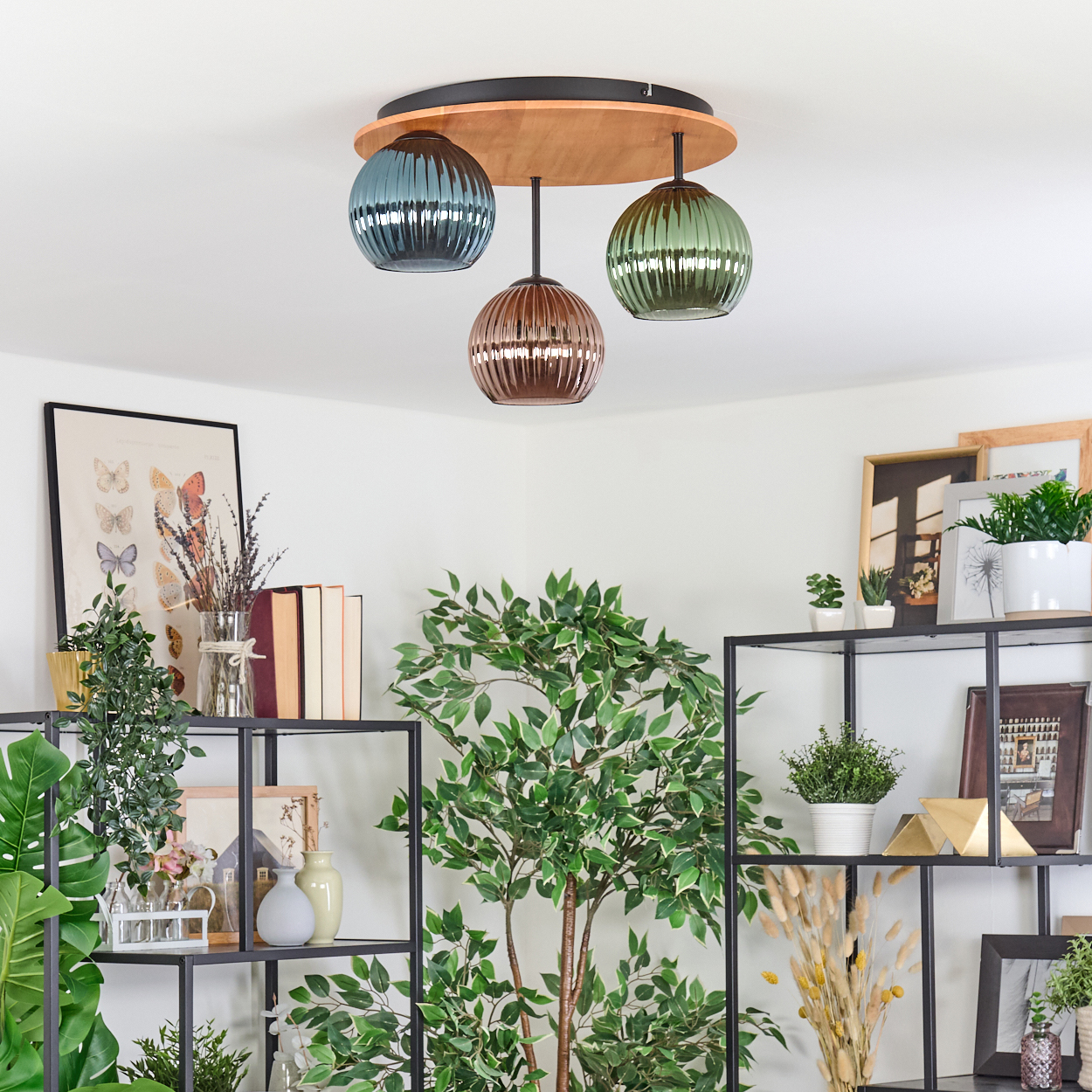 Eine Deckenleuchte mit drei Glaskugeln hängt über einem Regal mit Pflanzen, Büchern und gerahmten Bildern. Ein großer Baum füllt den Raum.