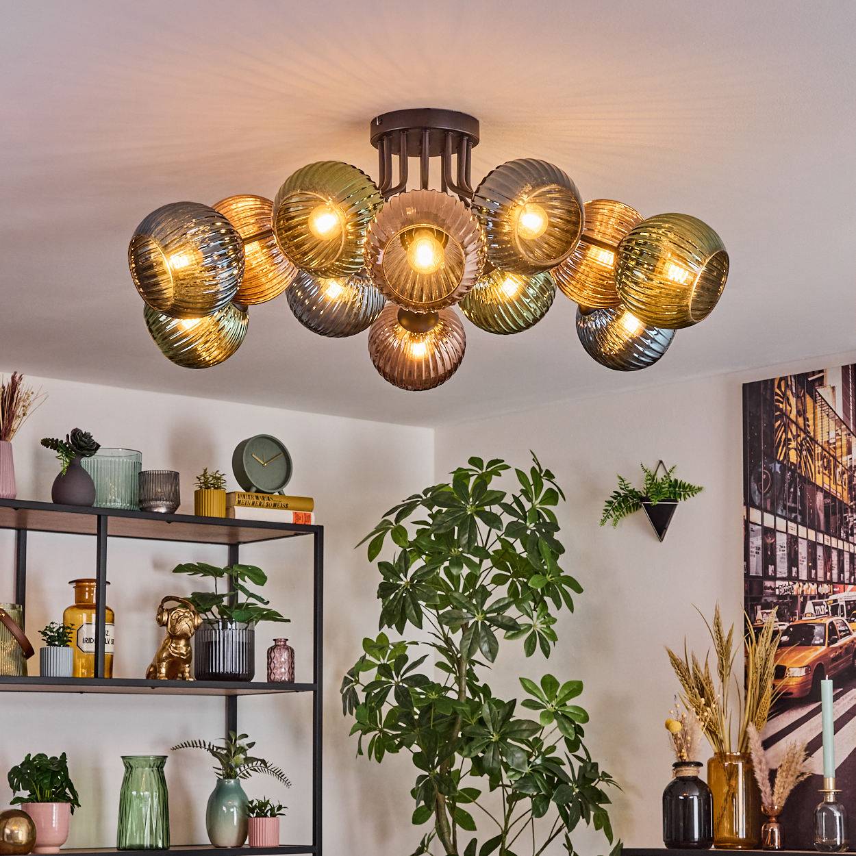 Eine moderne Deckenleuchte mit Glaskugeln beleuchtet einen Raum. Regale mit Pflanzen und Dekoration. Eine große Pflanze im Vordergrund.