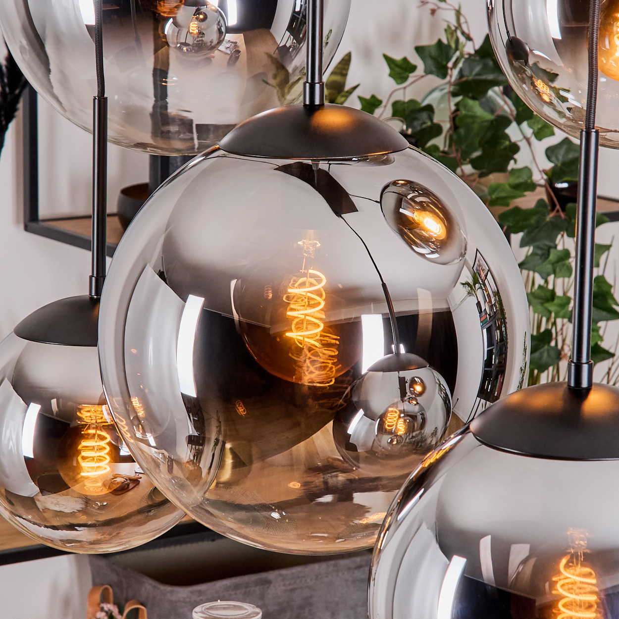 Mehrere kugelförmige Glas-Pendelleuchten mit Wendelglühbirnen. Reflektierende Oberflächen, mit Hintergrund aus Pflanzen und einem Regal.