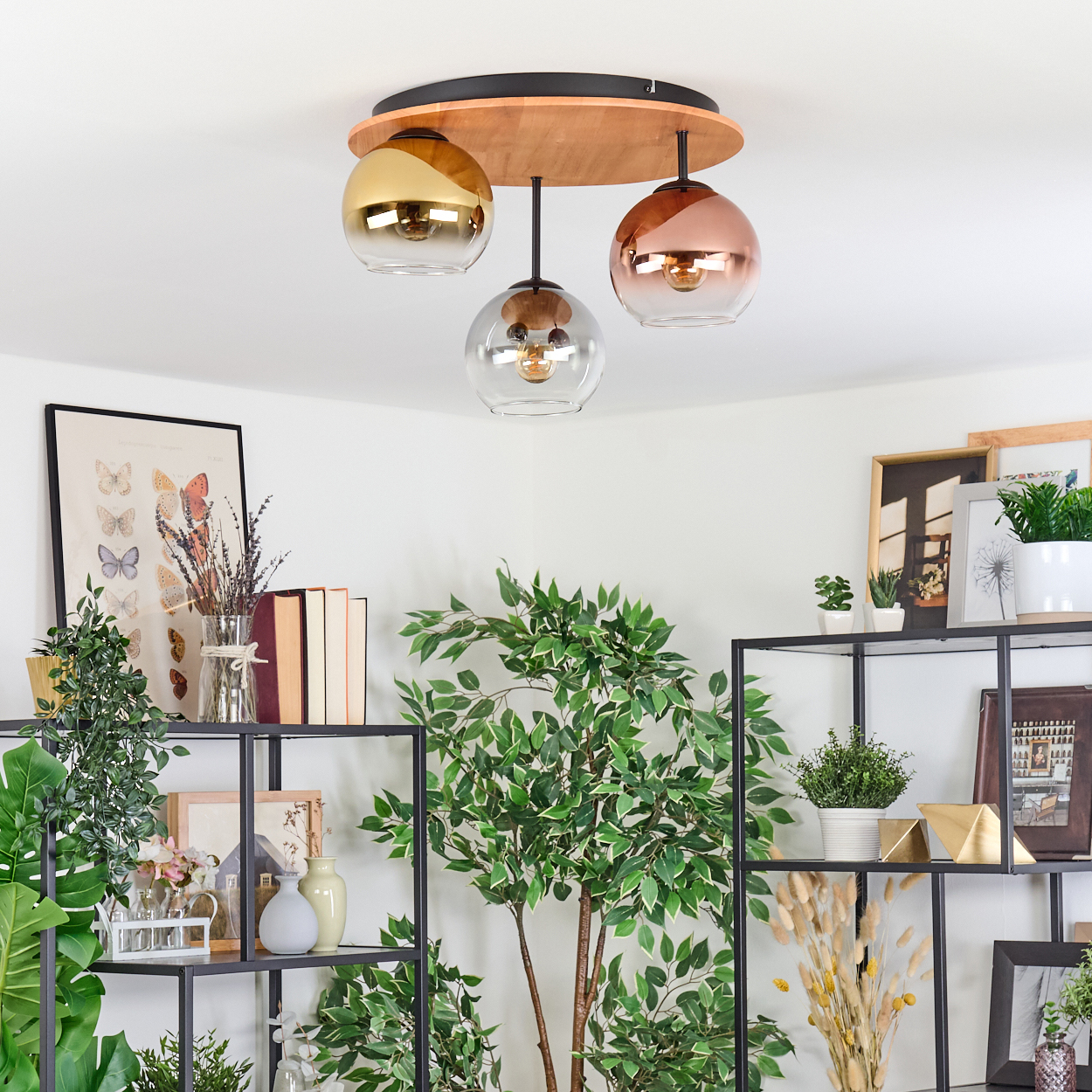 Ein modernes Zimmer mit Deckenleuchte und dekorativen Pflanzen auf Regalen. Ein Schmetterlingskunstwerk an der Wand.