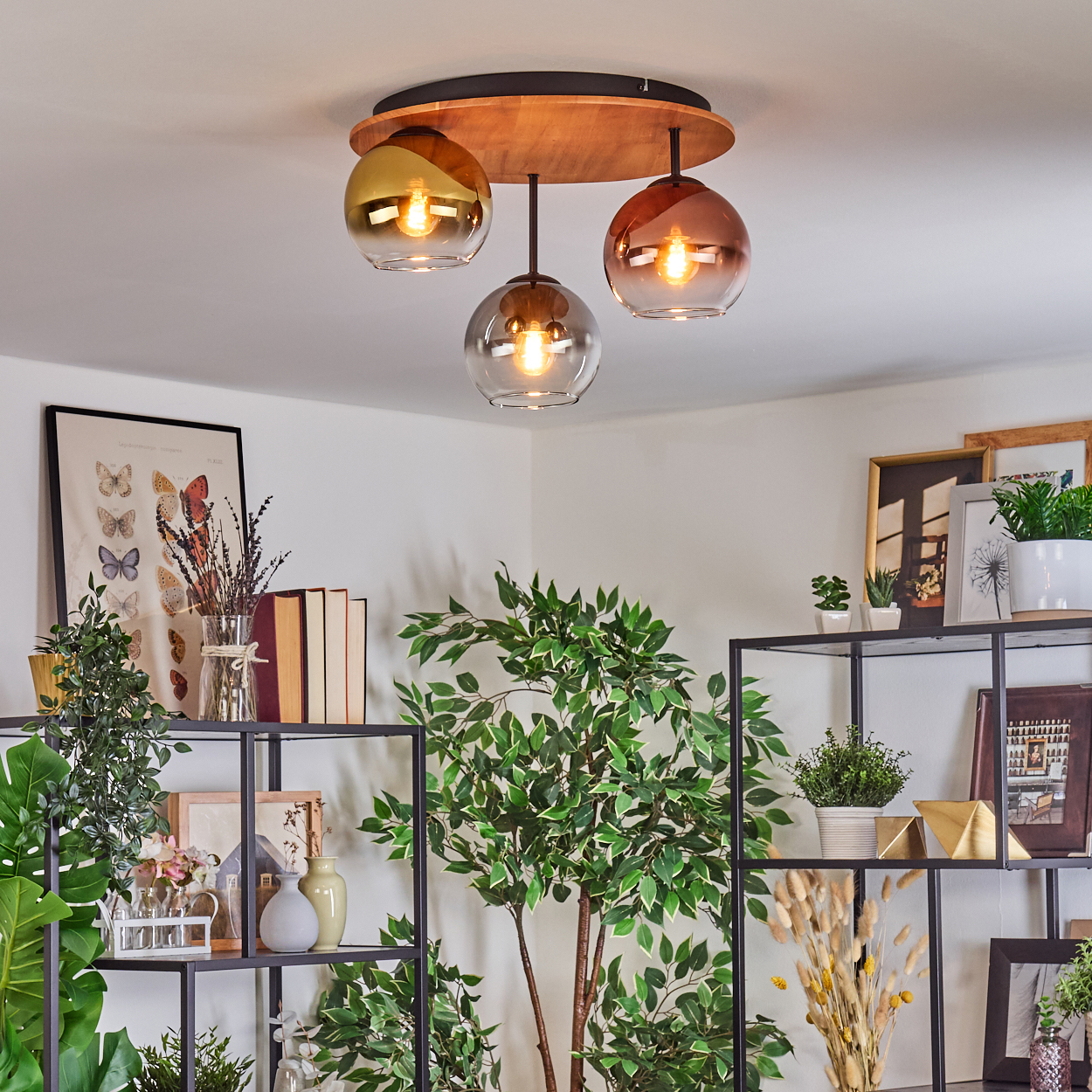 Eine moderne Deckenlampe mit drei Glaskugeln hängt über einem Raum mit Regalen, Pflanzen und gerahmten Bildern.