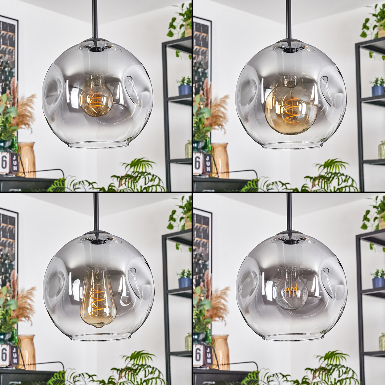 Eine moderne Glashängelampe mit sichtbarer Glühbirne, die in einem Raum mit Pflanzen und Regalen hängt. Die Lampe hat ein einzigartiges Design.