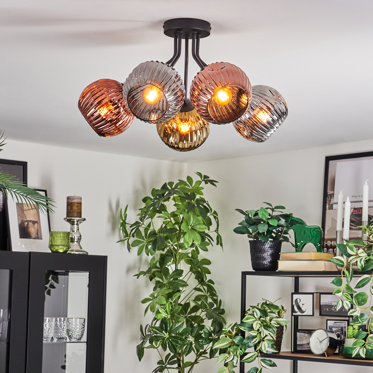 Eine moderne Deckenlampe mit fünf Glaskugeln. Verschiedene Pflanzen und Dekorationsartikel auf Regalen. Auch Kerzen und Bilder sind sichtbar.