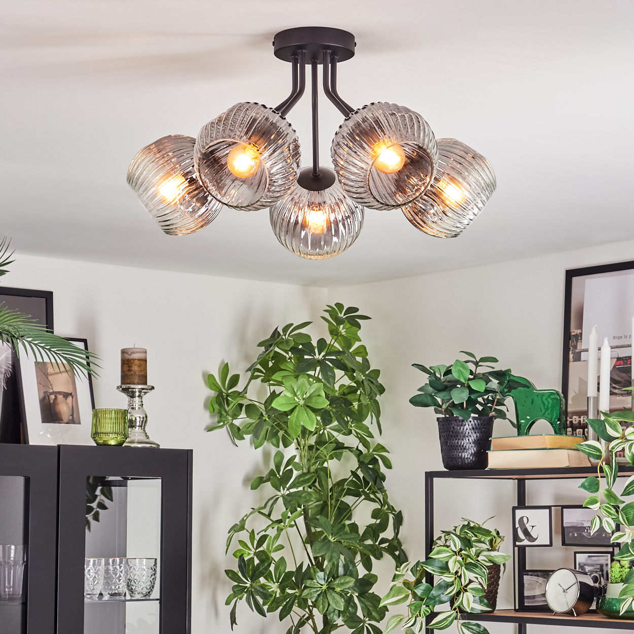 Eine moderne Deckenleuchte mit fünf Glaskugeln hängt von der Decke. Darunter sind grüne Pflanzen und Dekorationsartikel angeordnet.