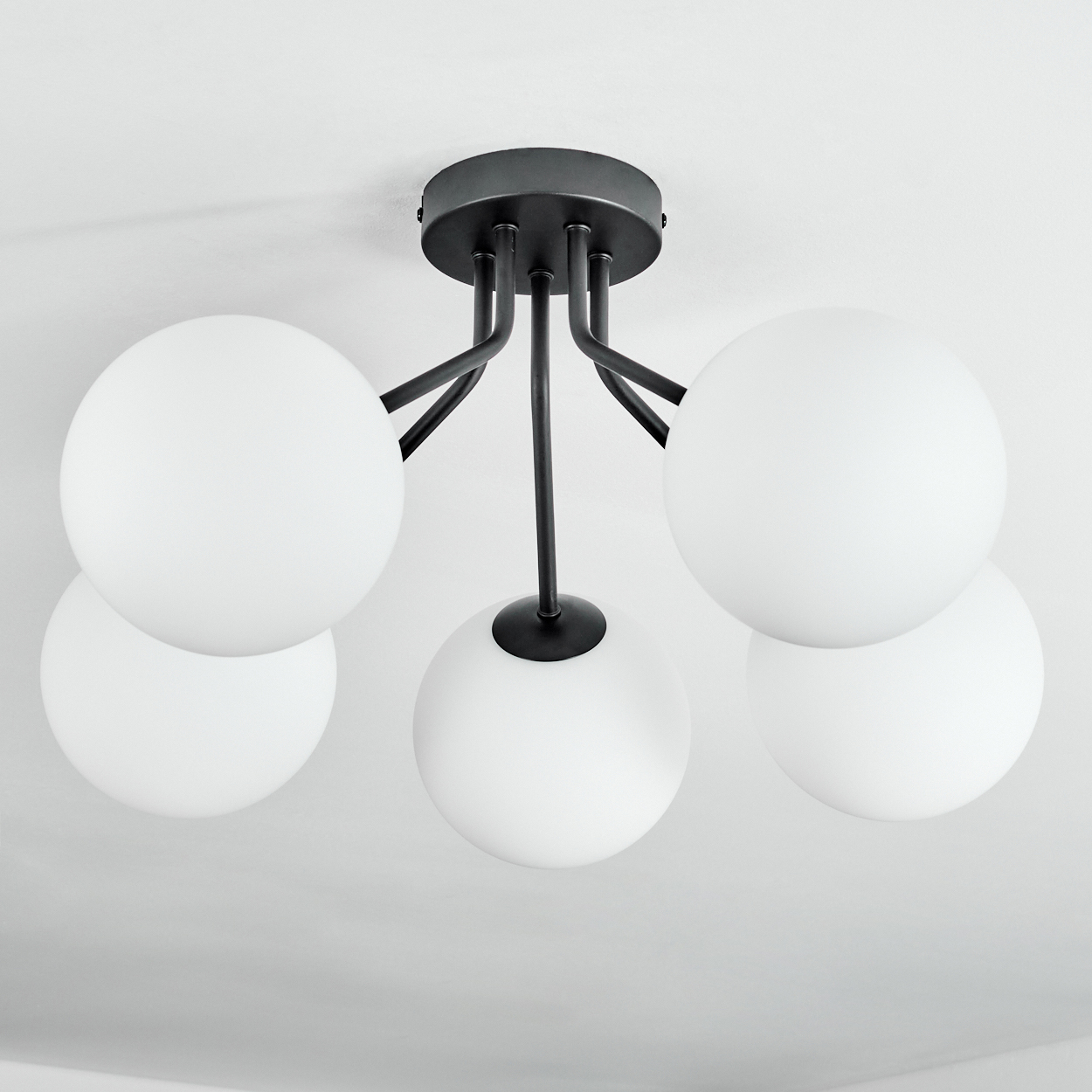 Moderne Deckenleuchte mit fünf weißen Kugelschirmen und einem schwarzen Metallrahmen und -sockel, montiert an einer weißen Decke.