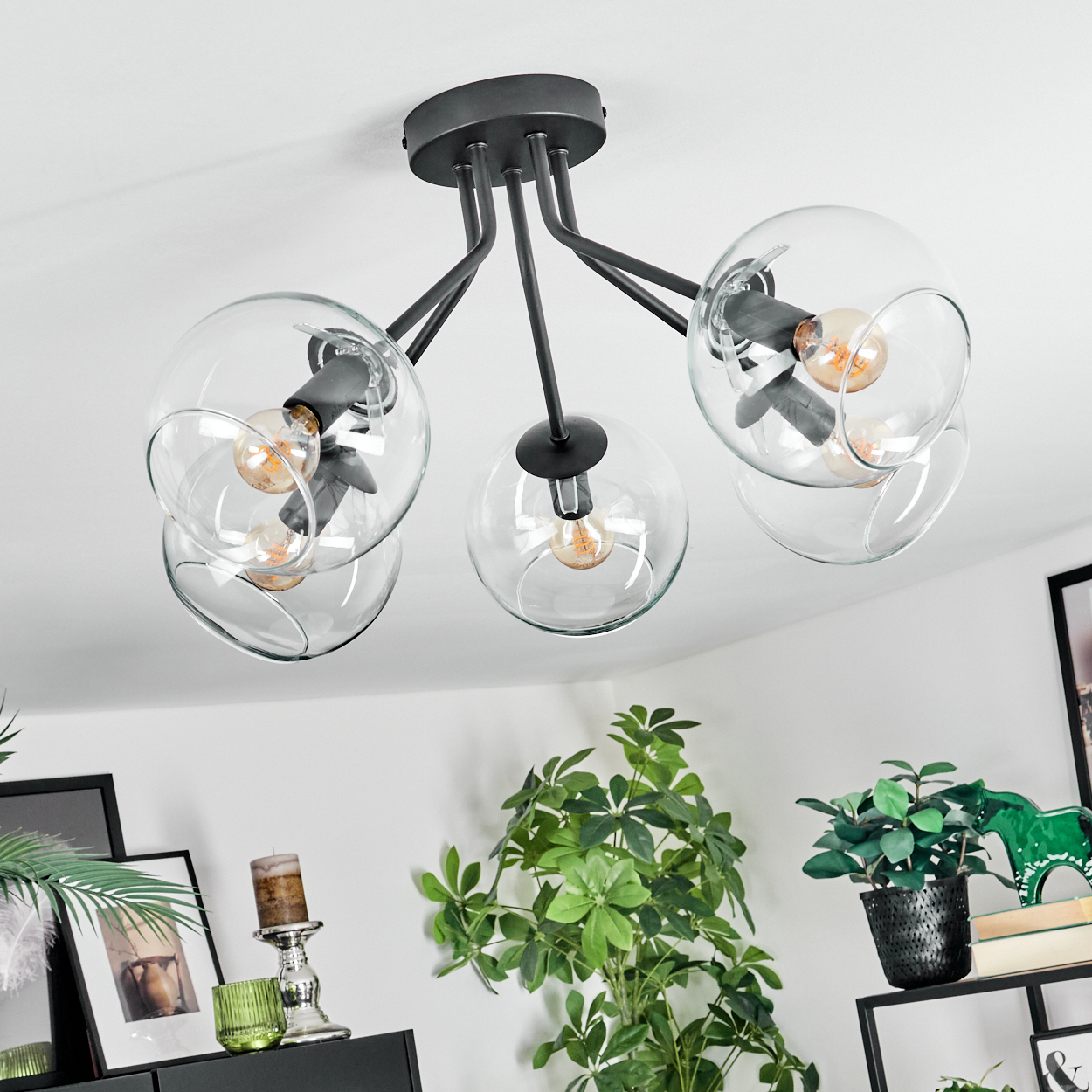 Eine moderne Deckenlampe mit fünf Glaskugeln, in denen sich jeweils eine Glühbirne befindet. Die Leuchte ist schwarz, mit weißer Decke und grünen Pflanzen.