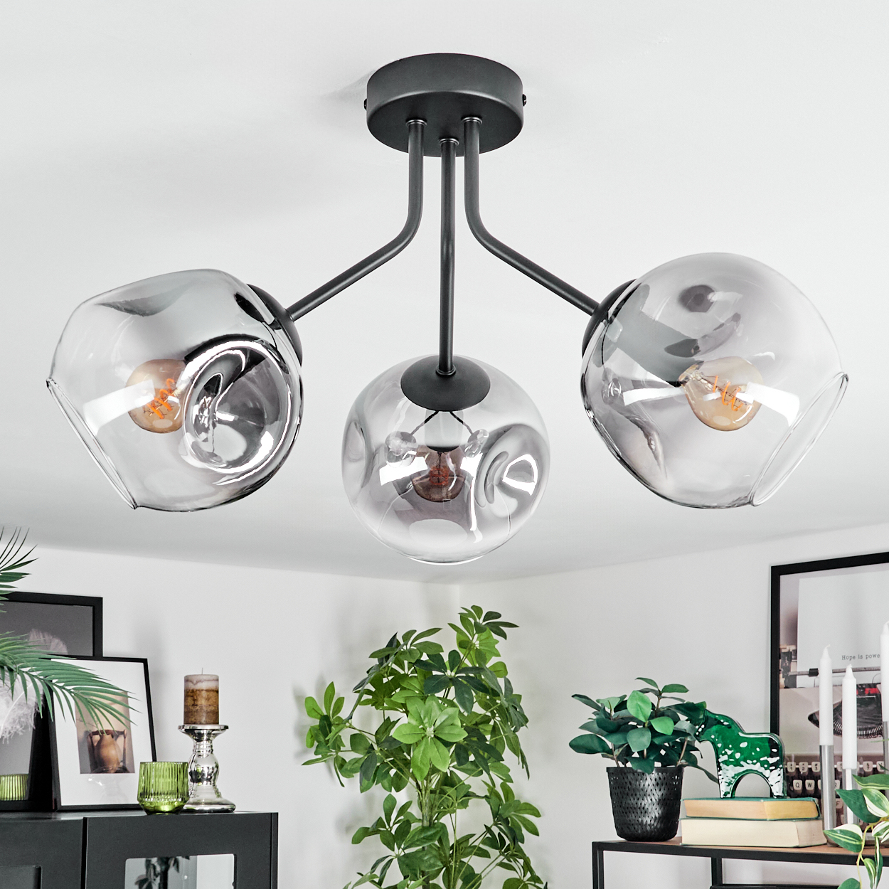 Moderne Deckenlampe mit drei Glaskugeln. Im Hintergrund Pflanzen, ein schwarzer Schrank und gerahmte Bilder.