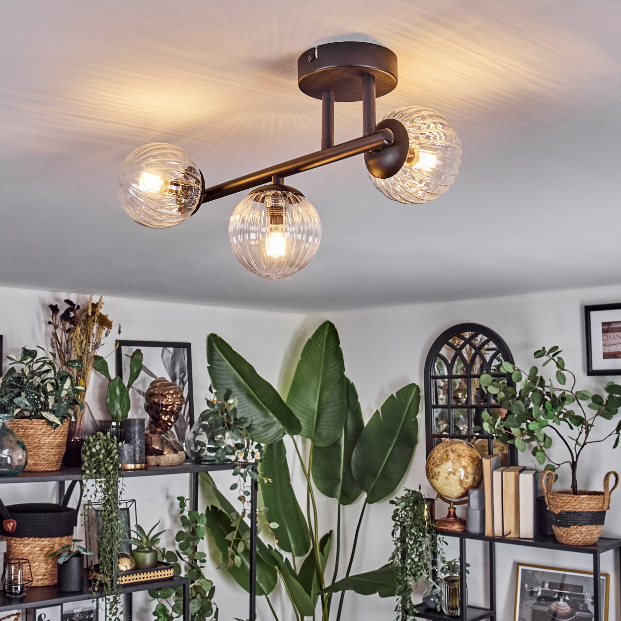 Eine moderne Deckenleuchte mit drei Glaskugeln. Darunter Regale mit Pflanzen, Büchern und Dekorationen, die eine gemütliche Atmosphäre schaffen.