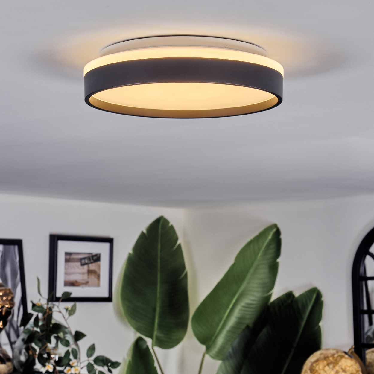 Eine moderne Deckenleuchte, schwarzer Ring mit gelbem Innenkreis, vor weißer Decke. Grüne Blätterpflanzen im Vordergrund.