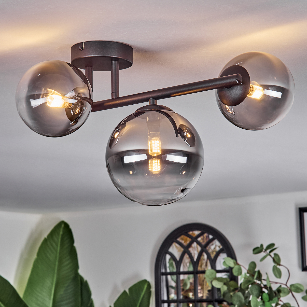 Moderne Deckenleuchte mit drei rauchigen Glaskugeln, jede mit einer hellen Glühbirne. Dunkle Metallarme halten die Kugeln. Grüne Pflanzen im Hintergrund.