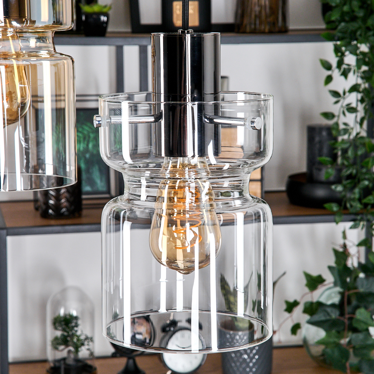 Klare Glas-Pendelleuchten mit leuchtenden Glühbirnen hängen vor einem Regal mit Pflanzen und Deko.