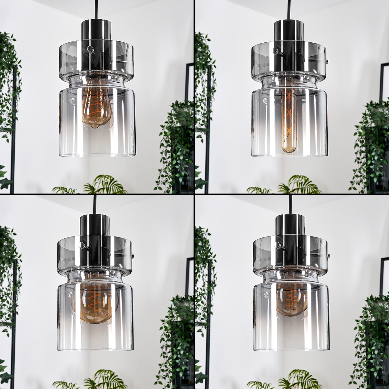 Eine moderne Pendelleuchte mit klarem Glasschirm und sichtbarer Glühbirne, die in einem weißen Raum mit Pflanzen hängt.