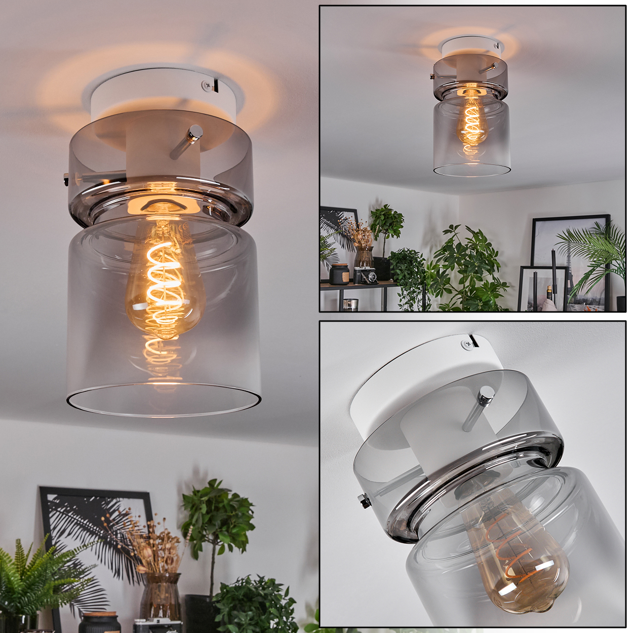 Eine moderne Deckenleuchte mit Glasschirm und sichtbarer Edison-Glühbirne. Im Hintergrund Pflanzen und Dekoration.