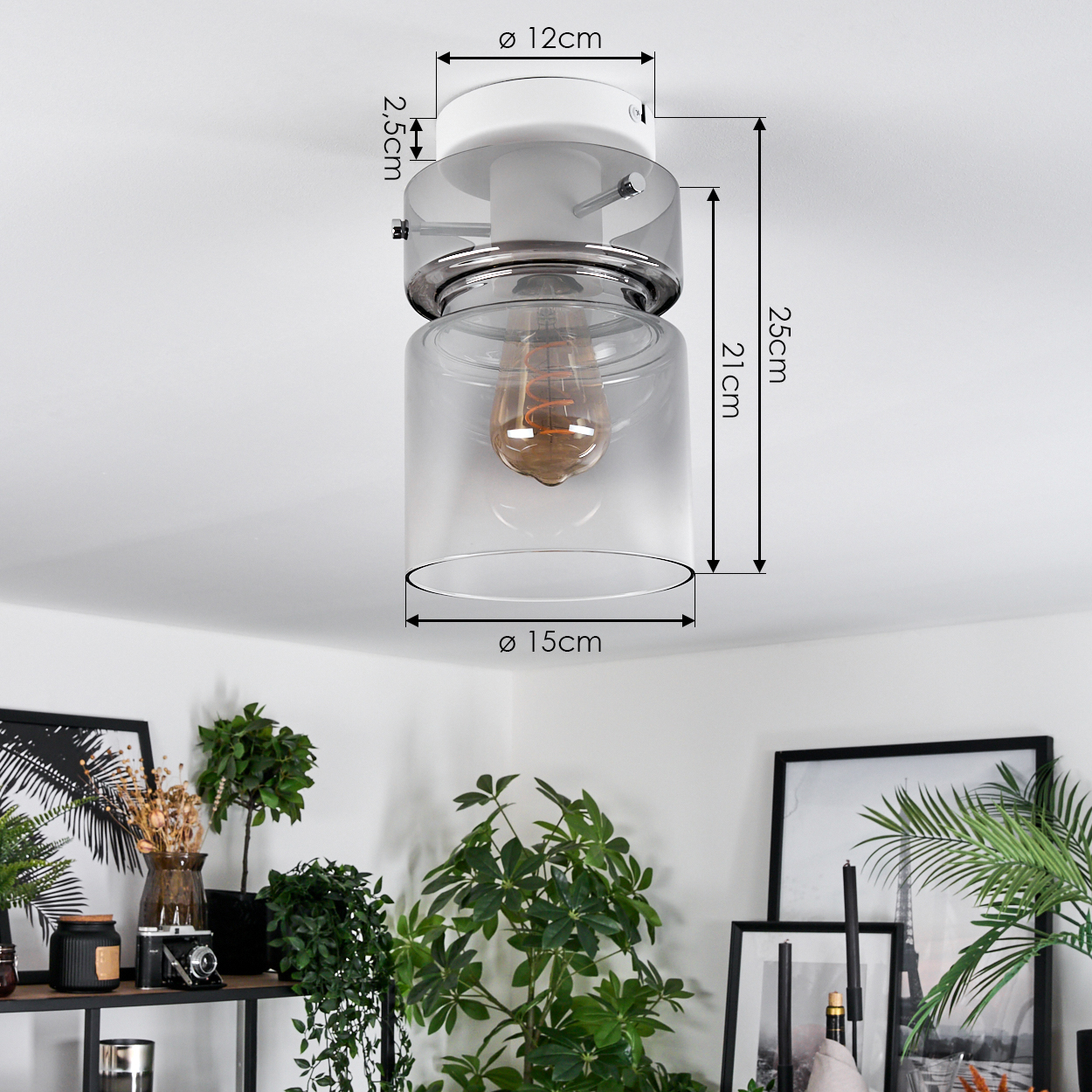 Eine moderne Deckenlampe mit Glasschirm und sichtbarer Glühbirne, montiert an einer weißen Decke. Grüne Pflanzen und Bilder im Hintergrund.