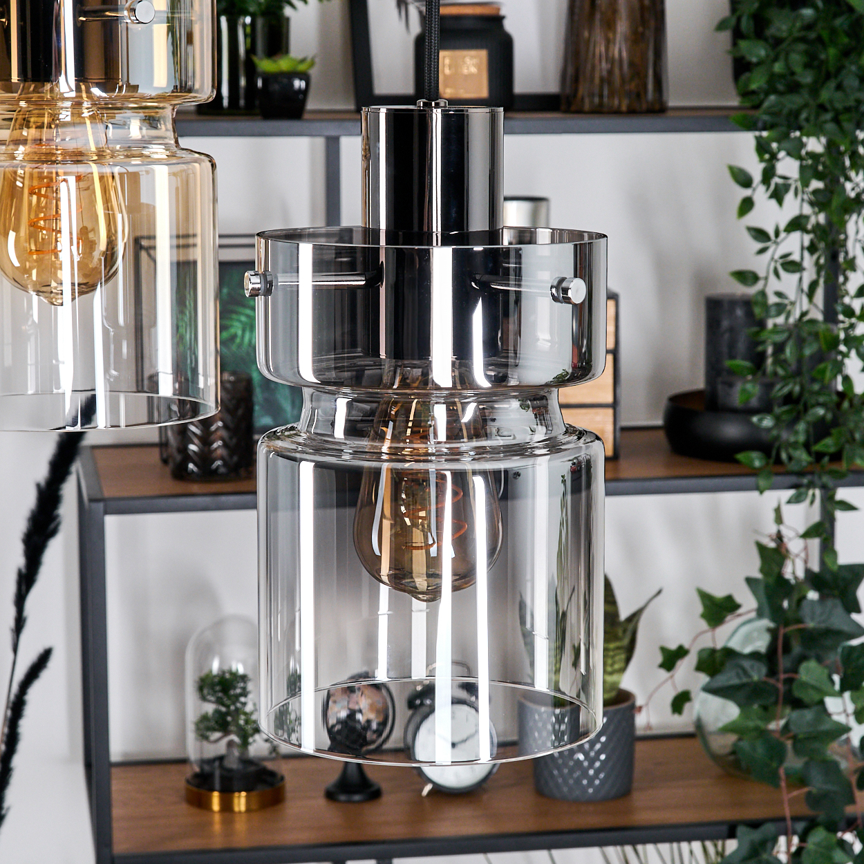 Nahaufnahme von modernen Glas-Pendelleuchten mit sichtbaren Glühbirnen. Regale im Hintergrund zeigen Pflanzen und Dekorationsartikel.