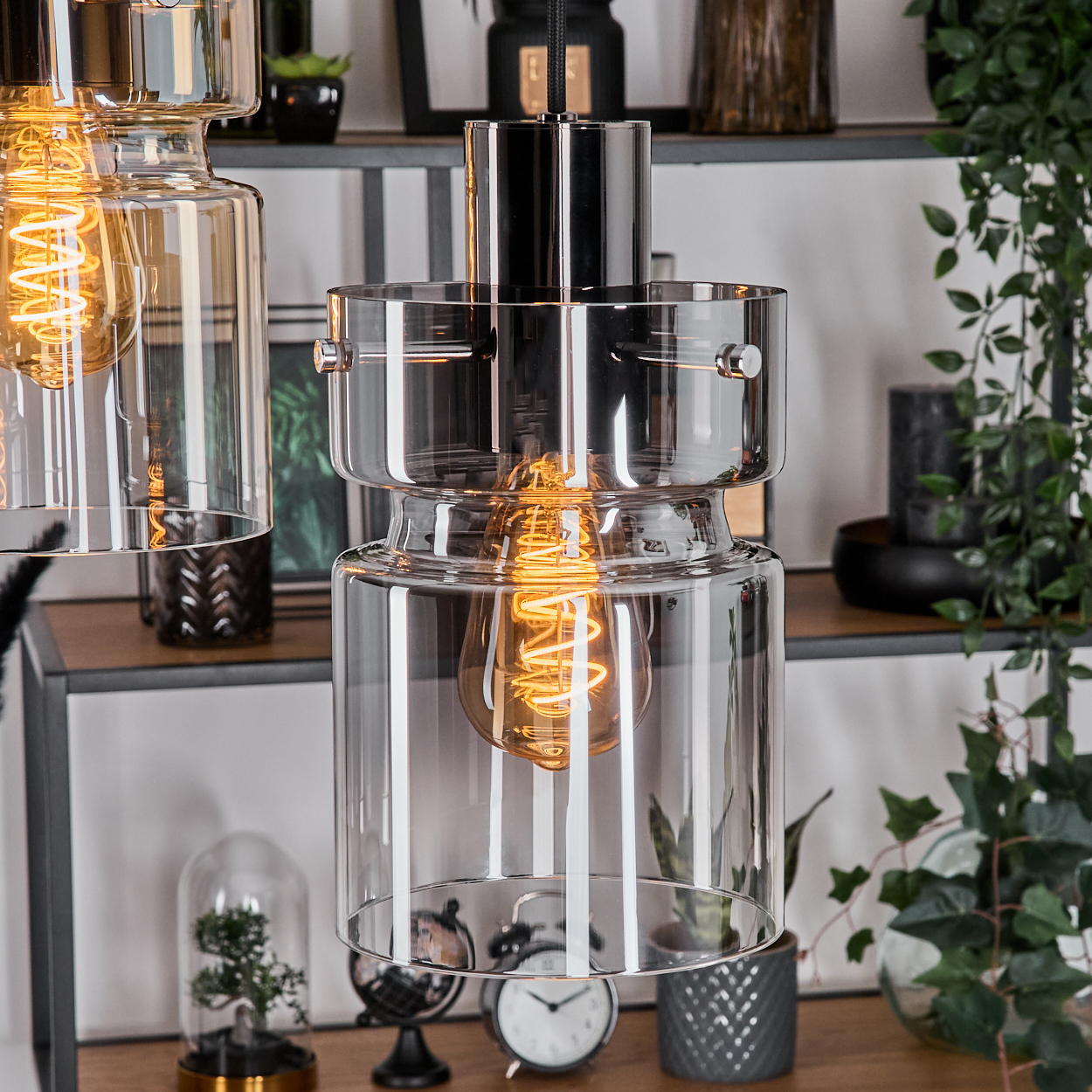 Transparente Glas-Pendelleuchten mit sichtbaren Glühfäden. Regale im Hintergrund mit Pflanzen und Dekorationsartikeln. Warme Töne.