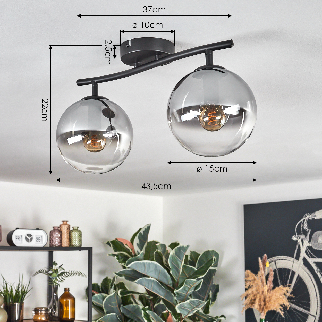 Eine moderne schwarze Deckenlampe mit zwei Glaskugeln. Maße sind angegeben. Pflanzen und Deko im Hintergrund.