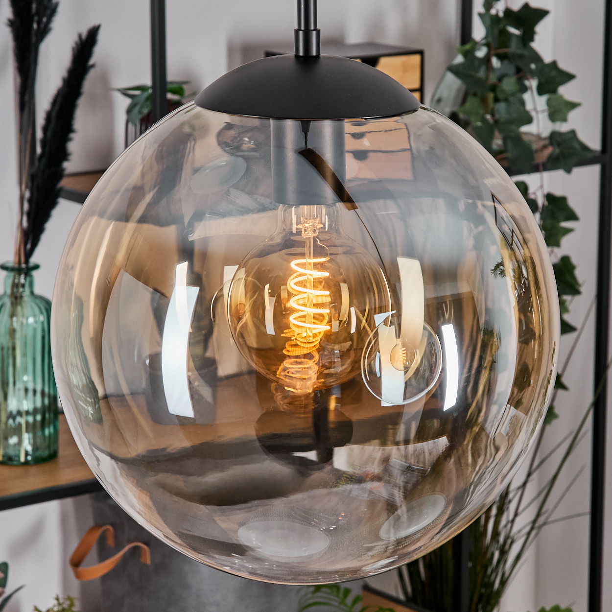 Eine moderne Pendelleuchte mit großem, klarem Glasglobus. Im Inneren ist eine glühende Glühbirne zu sehen. Hintergrund: Pflanzen und Regale.
