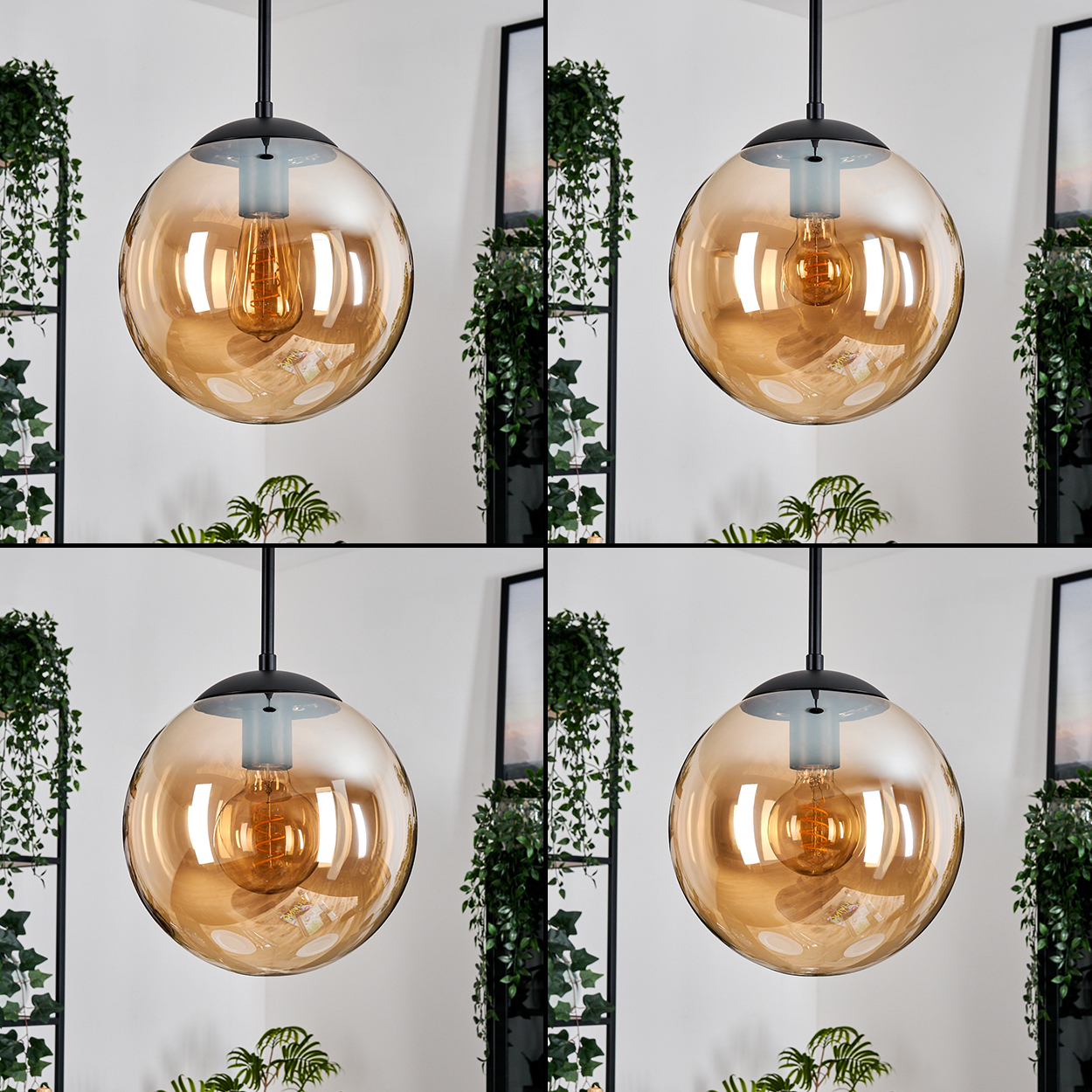 Eine runde Pendelleuchte aus bernsteinfarbenem Glas mit sichtbarer Glühbirne hängt von der Decke. Grüne Pflanzen umrahmen die Lampe und die weiße Wand.