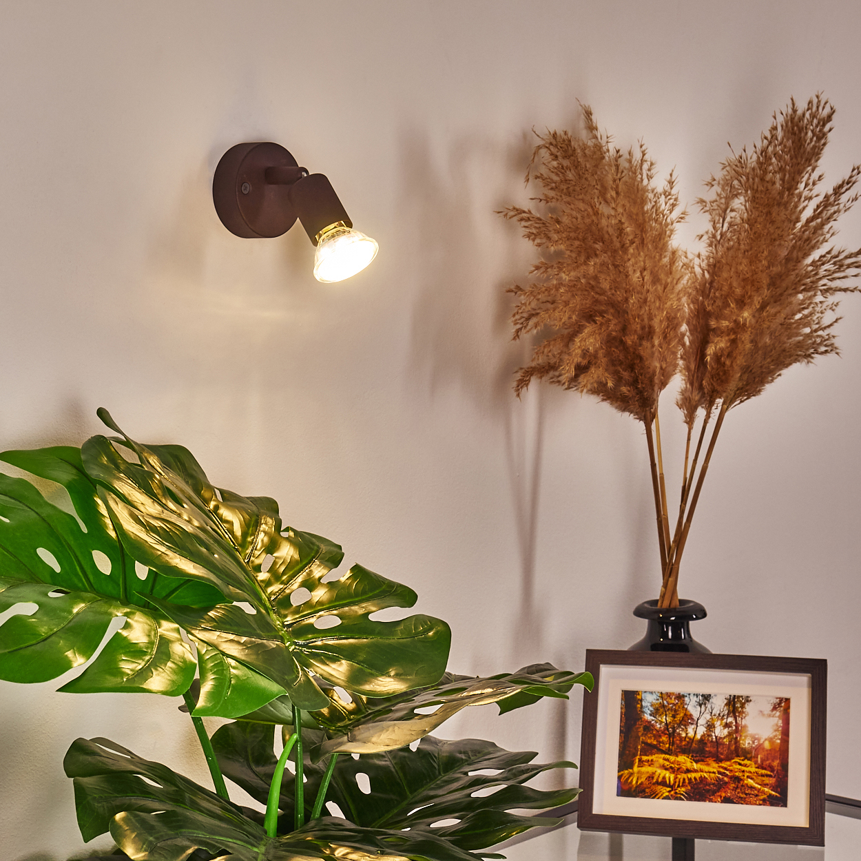 Ein Scheinwerfer beleuchtet eine Monstera-Pflanze. Pampasgras in einer Vase und ein gerahmtes Bild stehen auf einem Glastisch.