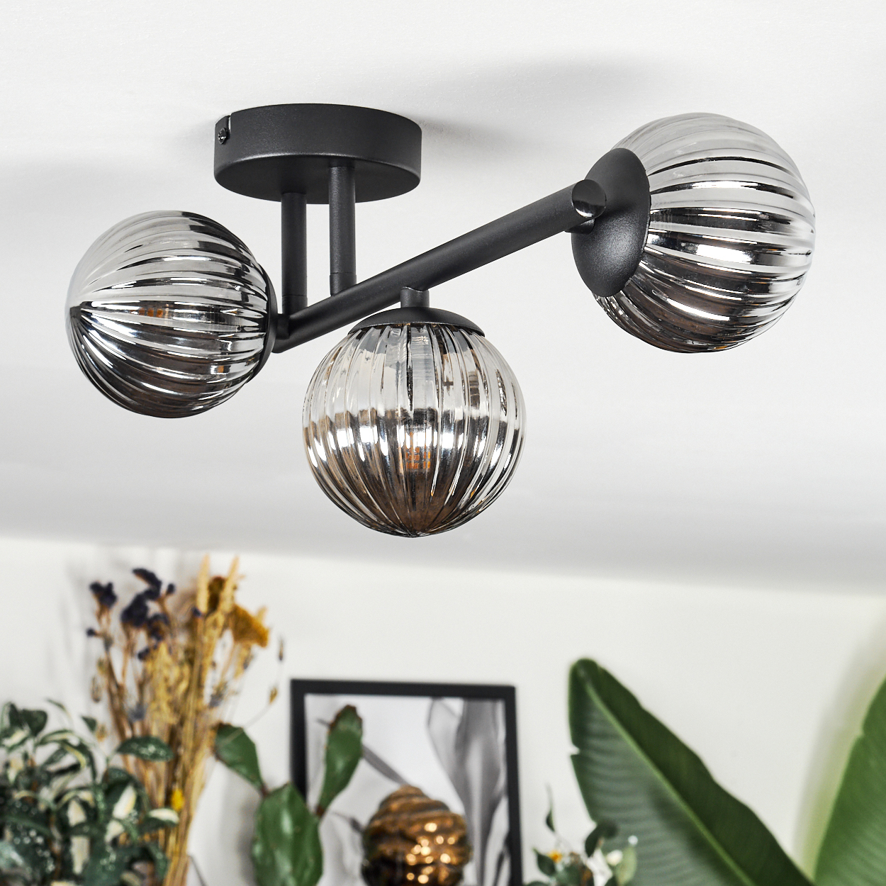 Eine moderne Deckenlampe mit drei kugelförmigen Lampenschirmen und einem schwarzen Metallrahmen, vor weißer Decke. Pflanzen und Deko sind sichtbar.