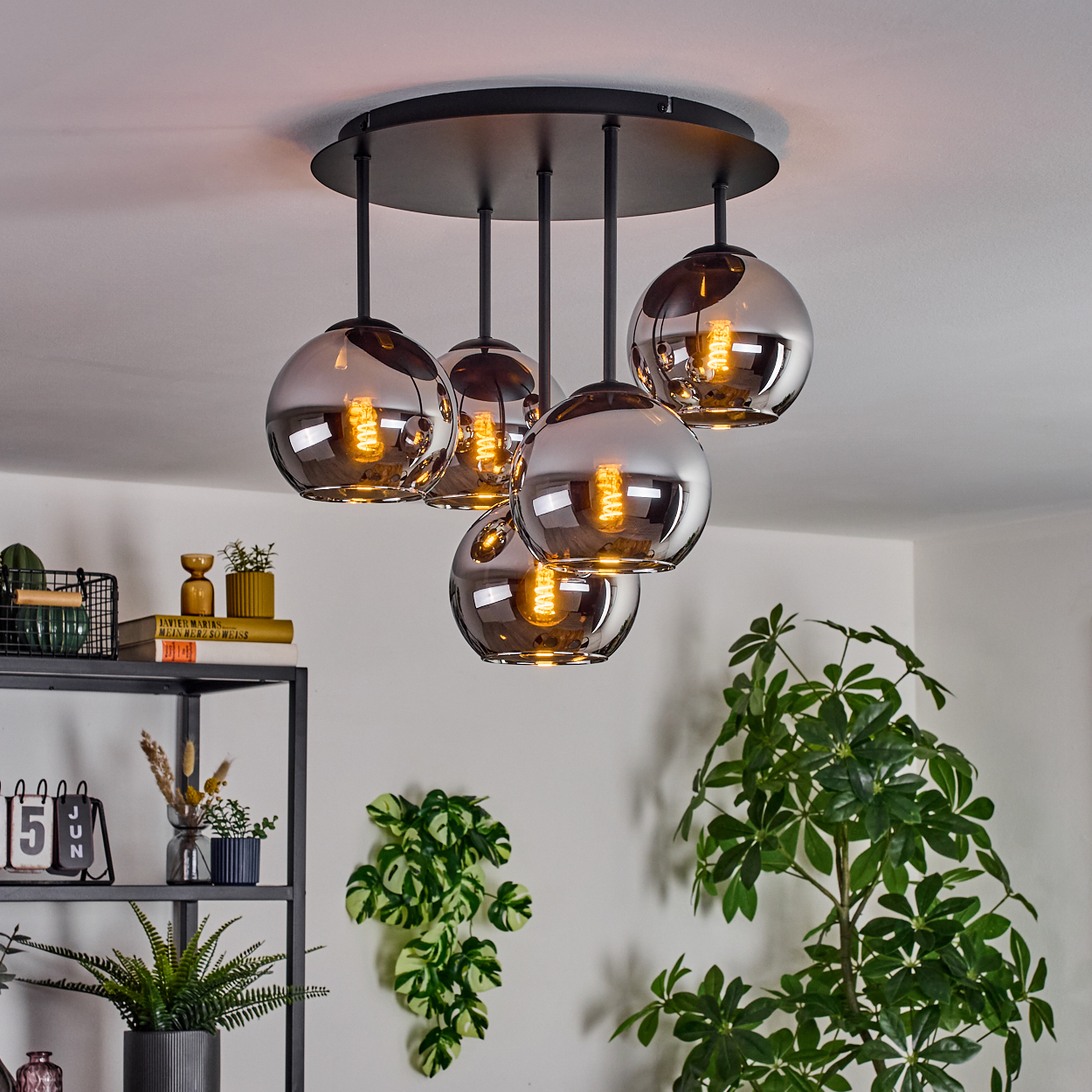 Eine moderne Deckenlampe mit fünf kugelförmigen, rauchfarbenen Glasschirmen. Der Raum hat Pflanzen und ein Regal mit Dekorationen.