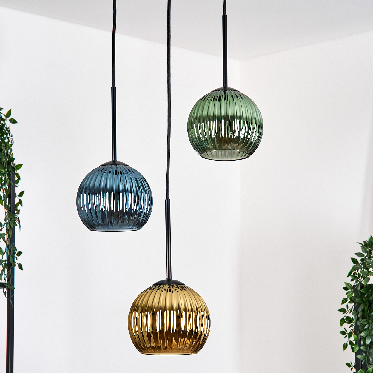 Drei Pendelleuchten mit geriffelten Glasschirmen in Blau, Grün und Gold, hängen vor einer weißen Wand. Grüne Pflanzen an den Seiten.