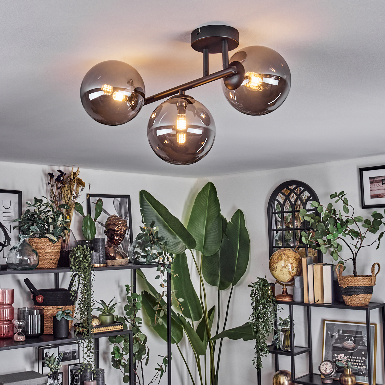 Ein modernes Wohnzimmer mit Deckenleuchte und Regalen voller Pflanzen, Bildern, Büchern und Dekorationsartikeln. Das Licht hat drei Glaskugeln.
