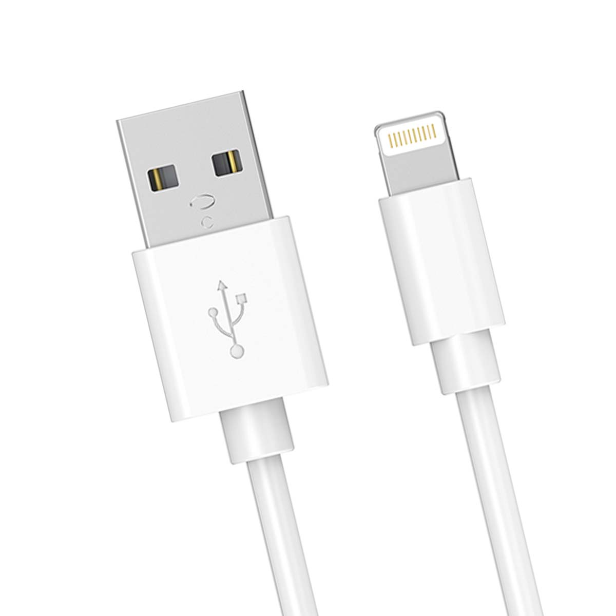 Câble USB vers Lightning blanc. Le côté USB a le symbole USB. Le côté Lightning a des broches métalliques. Les deux câbles sont blancs.