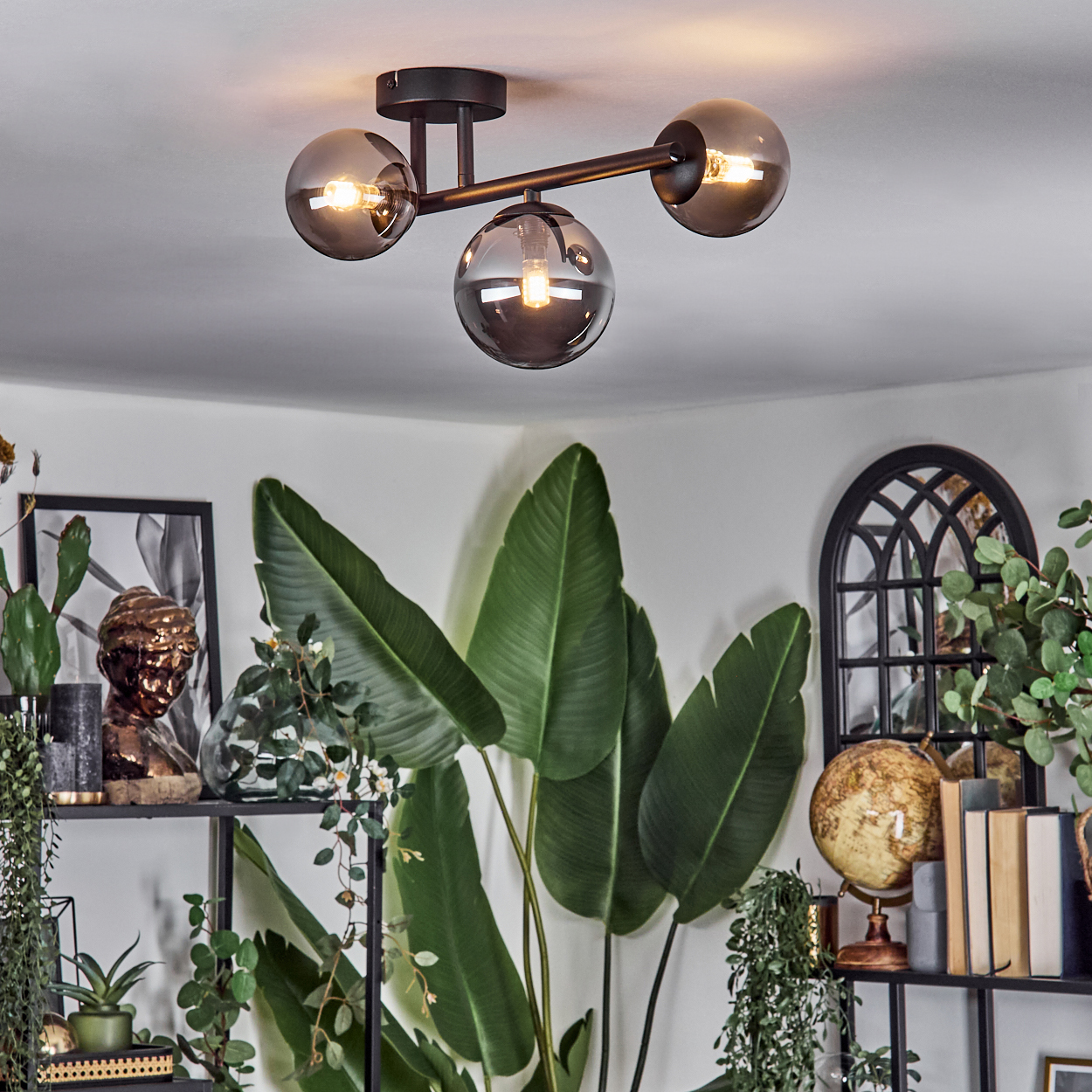 Eine moderne Deckenleuchte mit drei Glaskugeln beleuchtet einen Raum mit Pflanzen, einem Globus und einer Büste auf Regalen.
