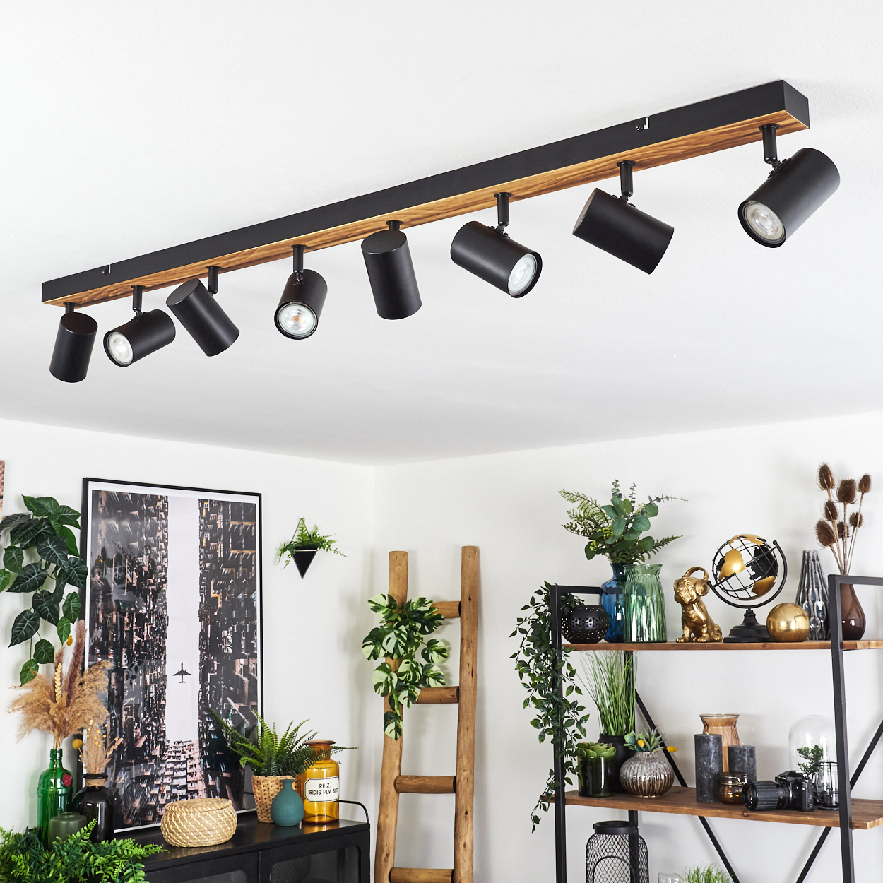Ein modernes Interieur mit einer schwarzen Strahler-Leuchte an der Decke. Darunter ein Regal und Pflanzen. Ein Gemälde und eine Leiter sind ebenfalls sichtbar.
